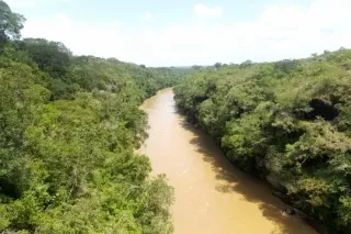 Las entidades hacen un llamado a la comunidad en general para que contribuyan con la preservación y protección de esta área de especial .